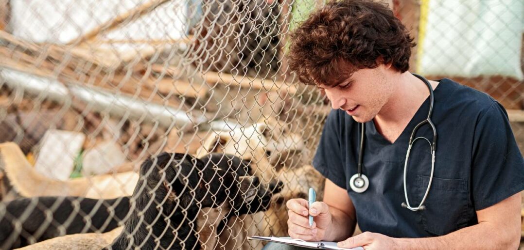 Tierheim Lüneburg: Ein Ort der Zuneigung und Sorge für Tiere in Bedrängnis (Foto: AdobeStock - 407003955 kegfire)